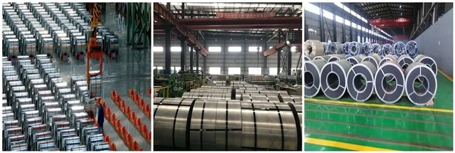Electrical steel strip