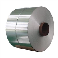 Bobina de Aço SS 420 Coll